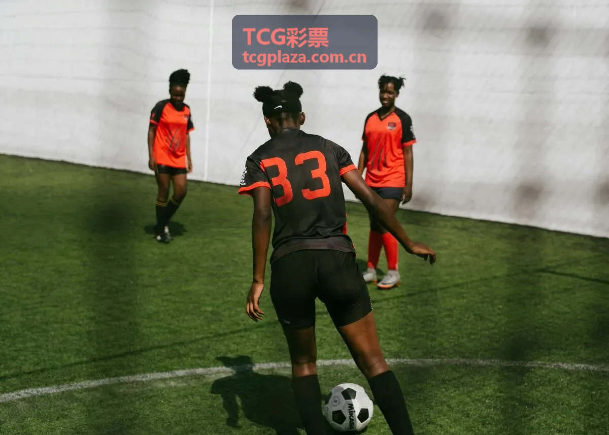 TCG彩票数据加密技术